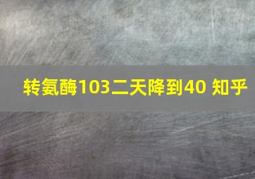 转氨酶103二天降到40 知乎